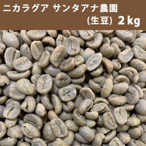 コーヒー 生豆 エチオピア モカ イルガチェフG1 2kg 送料無料(一部