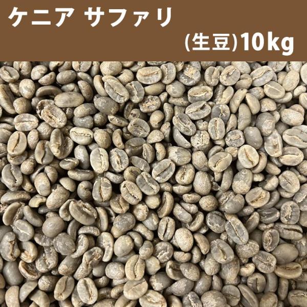 コーヒー 生豆 ケニア サファリ 10ｋｇ(5ｋｇ×2)　送料無料(一部地域を除く)