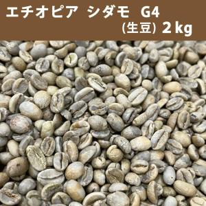 コーヒー生豆】ベトナムロブスタ ワイニーハニー フューチャー