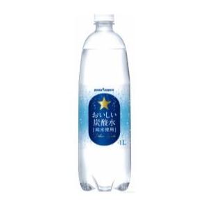 ポッカサッポロ おいしい炭酸水 1LPET×12本　送料無料(一部地域を除く)