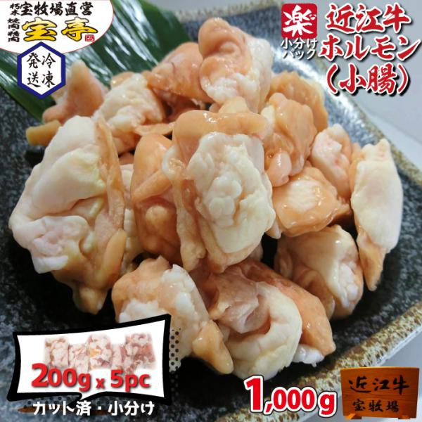 小分けパック 宝牧場 ホルモン 1k 1000ｇ 激安 全国最安値 近江牛 送料無料 和牛 牛肉 焼...