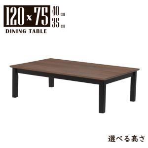 天童木工 座卓 ローテーブル ◇ 幅1210×奥行770×高さ335mm ◇ 乾