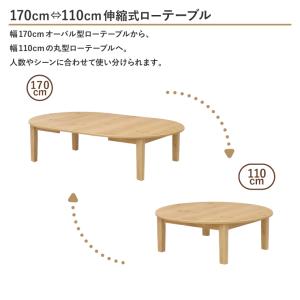 選べる高さ 40cm 35cm 伸縮式ローテー...の詳細画像2