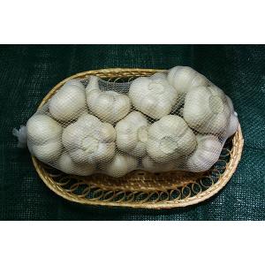 2024年産青森県産にんにくBM