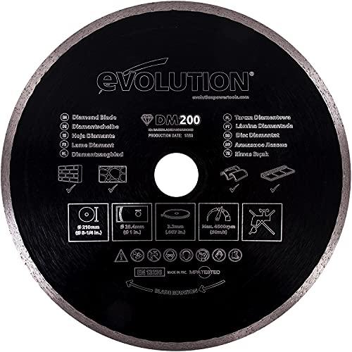 evolution(エボリューション) FURY RAGE兼用 200mmダイヤモンドホイ-ル