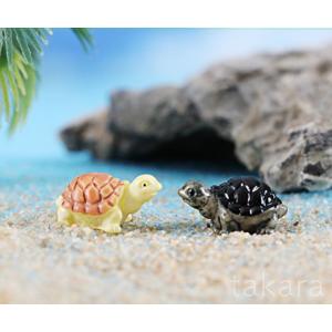 うみかめ 2色 亀 動物 水槽 テラリウムフィ...の詳細画像2