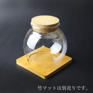 苔テラリウム 容器 コルク蓋 ガラスボトル ガラス容器 ボトリウム ポット ボウル 自作 制作 プリザーブドフラワー ジオラマ インテリア アクアリウム