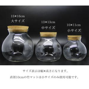 苔テラリウム 容器 コルク蓋 ガラスボトル ガ...の詳細画像1