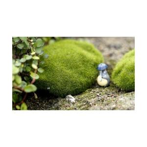 フェイク 苔石 苔テラリウム コケリウム テラ...の詳細画像2
