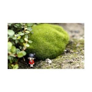 フェイク 苔石 苔テラリウム コケリウム テラ...の詳細画像3
