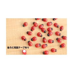 テントウムシ 10個 てんとうむし 昆虫 テラ...の詳細画像4