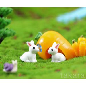 白うさぎ 動物 フィギュア テラリウム フィギ...の詳細画像1
