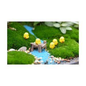 ミニチュア ひよこ 5匹 コケリウム テラリウ...の詳細画像2
