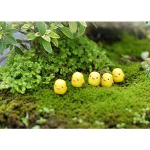 ミニチュア ひよこ 5匹 コケリウム テラリウ...の詳細画像3