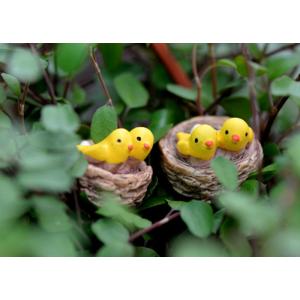 鳥模型 巣の中の小鳥 ミニフィギュア テラリウ...の詳細画像5