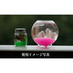 カラーサンド 50~60g砂 サンド すな テ...の詳細画像3