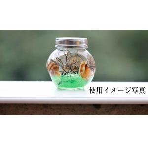 カラーサンド 50~60g砂 サンド すな テ...の詳細画像4