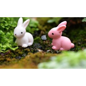 うさぎ 白ピンク 動物 フィギュア テラリウム...の詳細画像2