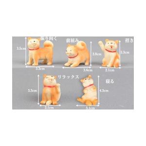 犬模型 秋田犬 5種 いぬ ミニ テラリウム ...の詳細画像1