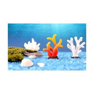 アクアリウム サンゴ 海 さかな ひとで 水槽...の詳細画像5