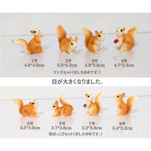 りす 松ぼっこり リス 動物フィギュア テラリ...の詳細画像1