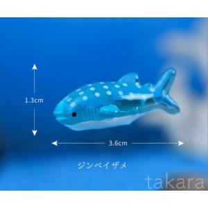 アクアリウム 海の生き物 さめ くじら いるか...の詳細画像4
