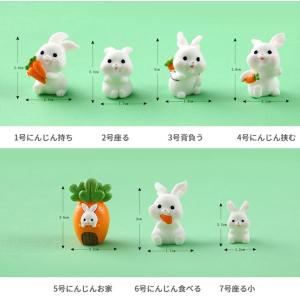 にんじん うさぎ2 動物 テラリウムフィギュア...の詳細画像4