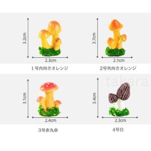 きのこミニチュア 4種 テラリウム フィギュア...の詳細画像3