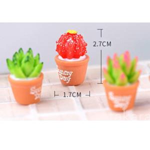 多肉植物 sanny day 6種 観葉植物 ...の詳細画像2
