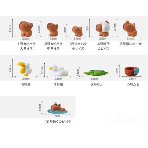 カピバラ親子10種 動物模型 テラリウム フィ...の詳細画像4