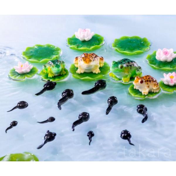 カエル オタマジャクシ ハスの花 かえる 動物 フィギュア テラリウム フィギュア ミニフィギュア ...