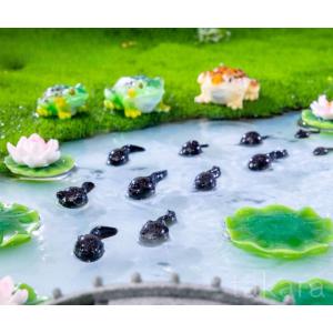 カエル オタマジャクシ ハスの花 かえる 動物...の詳細画像1