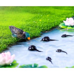 カエル オタマジャクシ ハスの花 かえる 動物...の詳細画像2