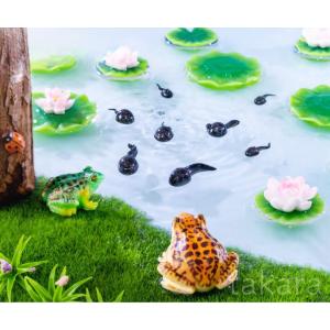 カエル オタマジャクシ ハスの花 かえる 動物...の詳細画像3