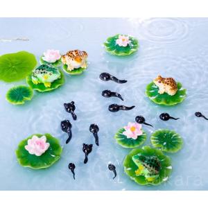 カエル オタマジャクシ ハスの花 かえる 動物...の詳細画像5