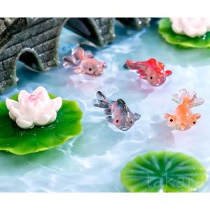アクアリウム 金魚 10種 さかな ミニ テラ...の詳細画像4