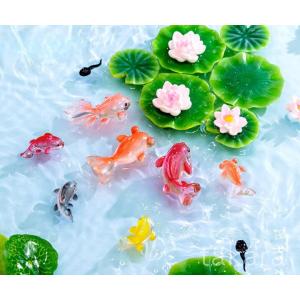 アクアリウム 金魚 10種 さかな ミニ テラ...の詳細画像3