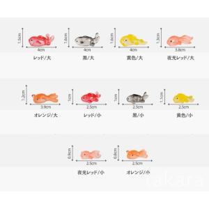 アクアリウム 金魚 10種 さかな ミニ テラ...の詳細画像1