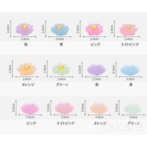 アクアリウム 金魚 10種 さかな ミニ テラ...の詳細画像2