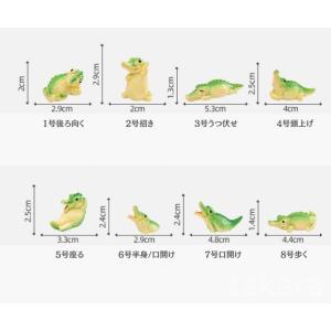 ワニ8種 動物模型 テラリウム フィギュア ミ...の詳細画像1