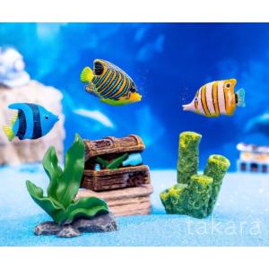 アクアリウム 熱帯魚 3種 さかな ミニ テラリウム フィギュア ミニチュア コケリウム 苔テラリウム 苔 コケ 水素 ワークショップ パーツ ガーデニング
