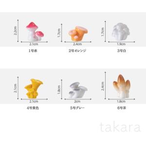 きのこ ミニチュア 6種 苔テラリウム テラリ...の詳細画像1
