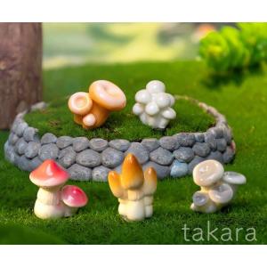 きのこ ミニチュア 6種 苔テラリウム テラリ...の詳細画像2