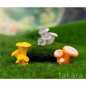 きのこ ミニチュア 6種 苔テラリウム テラリ...の詳細画像3