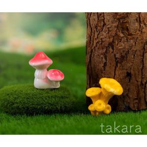 きのこ ミニチュア 6種 苔テラリウム テラリ...の詳細画像4