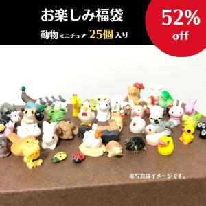 可愛いシマウマのコケリウム Amazon.co.jp: シュライヒ ワイルドライフ シマウマ(仔) フィギュア