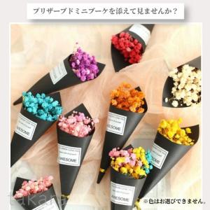 テラリウムキット 【羊の楽園】 コケリウム お...の詳細画像5