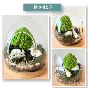 テラリウムキット 【樹の下】 コケテラリウム ...の詳細画像4