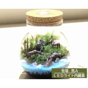 テラリウムキット 牧場 LEDライト内臓蓋 お...の詳細画像2