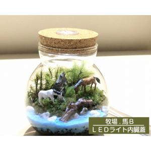 テラリウムキット 牧場 LEDライト内臓蓋 お...の詳細画像4